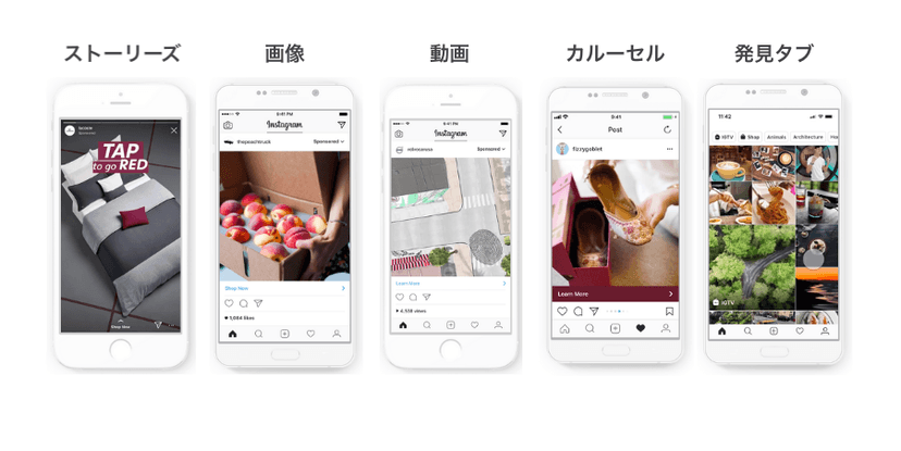 本文画像 (2020/06/図1.png)
